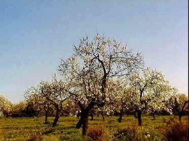 P017-014.jpg (59897 Byte)