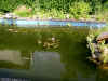 P1010002.jpg (294323 Byte)