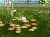 P1010004.jpg (234525 Byte)