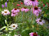 mag06.jpg (16527 Byte)