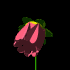 Redblk.gif (5326 Byte)